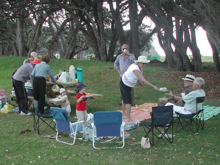 Picnic Wenderholm.JPG