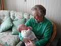 GrGrandma Introduction