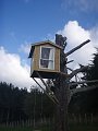 TreeHaus