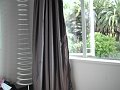 TheCurtains&Lion